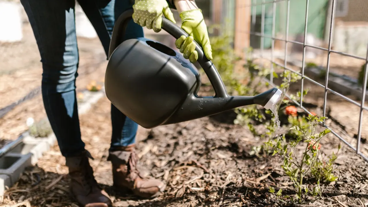 greywater system for home