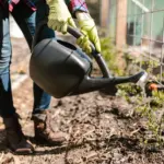 Water Efficiency and Greywater Reuse at Home