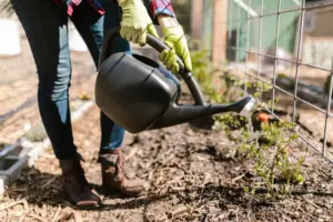 greywater system for home