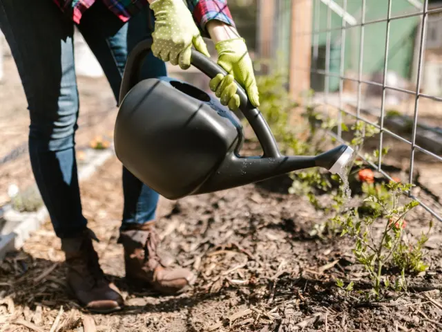 Water Efficiency and Greywater Reuse at Home