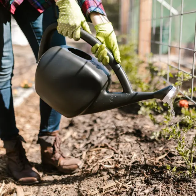 Water Efficiency and Greywater Reuse at Home