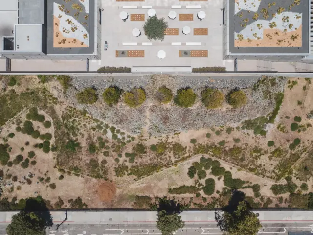 Green Roofs and Living Roofs on Houses